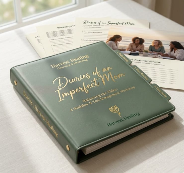 Diaries of an Imperfect Mom Workshop